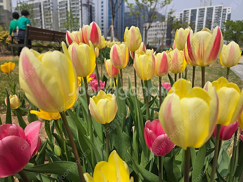 여기어때 숙박 대실 예약해 드려요--0