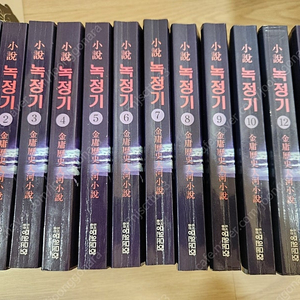 녹정기 12권