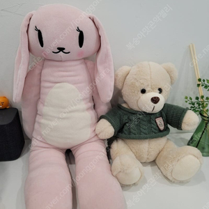 다이소 토끼인형 찾아요