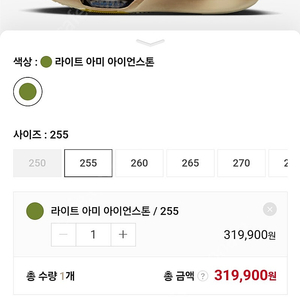 알파플라이3 아이안스톤 255