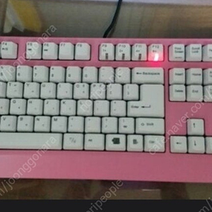 [삽니다]셀러리타스1 키보드 구해봅니다