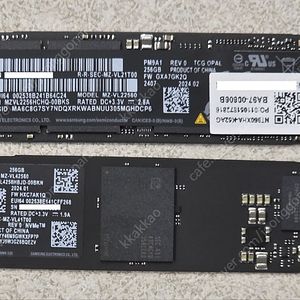 [SSD] 삼성 NVME SSD 256G 2개 (PM9A1, PM9B1)