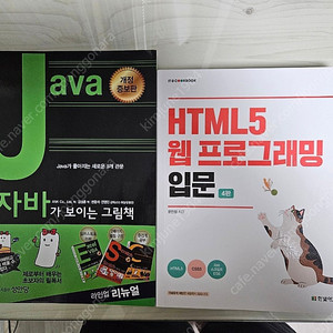 자바가 보이는 그림책, HTML5 웹 프로그래밍 입문