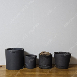 두갸르송