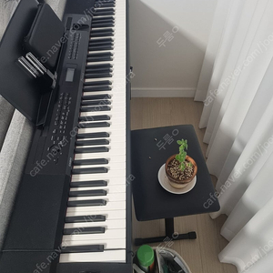 CASIO PX-350M 팝니다