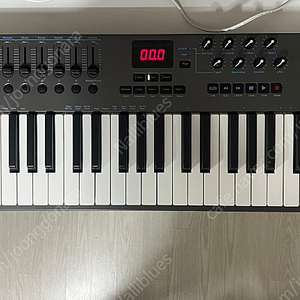 넥타 LX49+ 마스터건반 Nectar IMPACT LX-49+ LX49 +