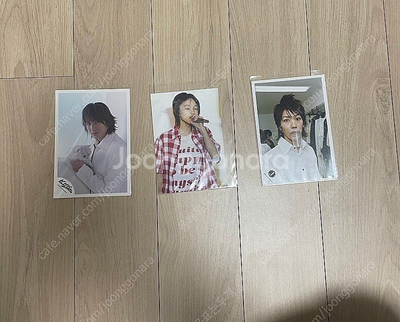 도모토코이치 이노오케이 카메나시카즈야 샵사 파파--0