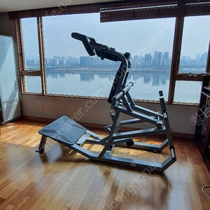 브이스커트