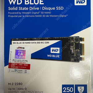 [미개봉 급처분] WD Blue 250GB M.2 2280 SATA SSD