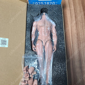 월드박스 at027 1/6 커스텀 피규어 바디