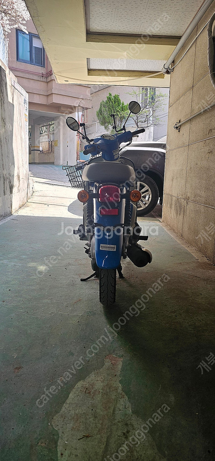 슈퍼커브 2022년 5500키로 파란색 팝니다--5