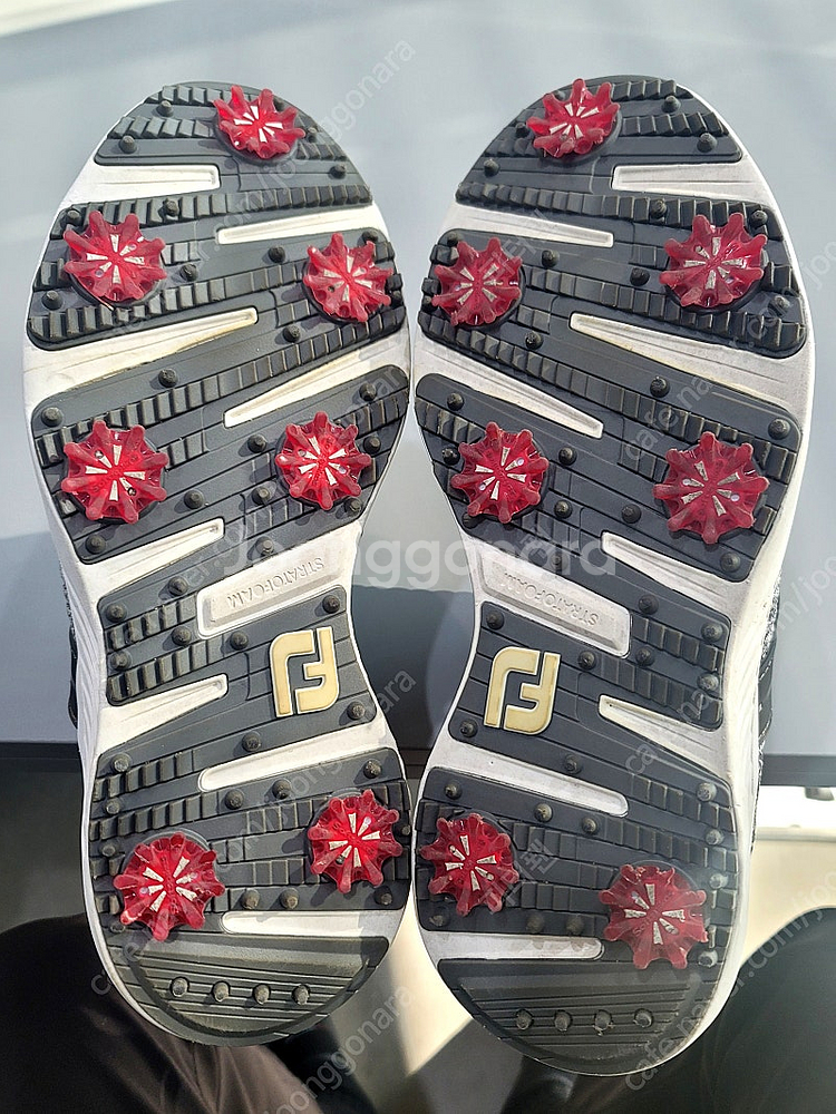 FOOTJOY 풋조이 하이퍼 플렉스 보아 스파이크 남성...--1