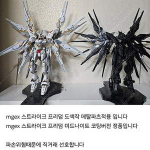 mgex 스트라이크 프리덤 도색작 + mgex 스트라이크 프리덤 미드나이트 코팅 버전 팝니다