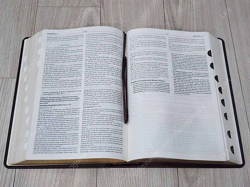 영어 성경 새책 킹제임스 KJV 제네바 Geneva 이미지