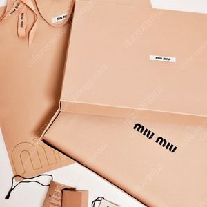 미우미우 의류박스와 쇼핑백2