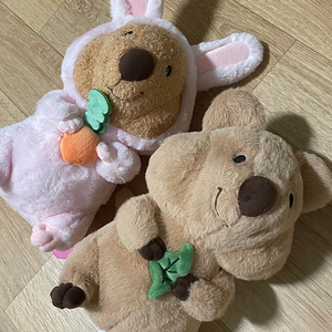 잎사귀 쿼카+토끼 코스튬 쿼카 인형 2종류 새상품 일괄판매