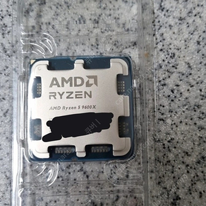 라이젠 9600x