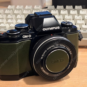 올림푸스 E-M10 초민트급