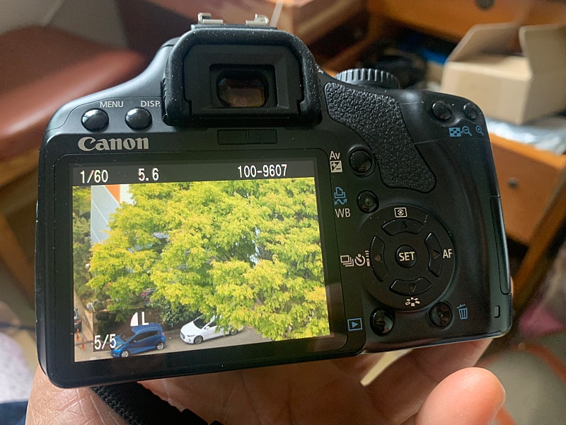 캐논EOS 450D 가격내림