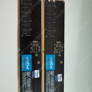 마이크론 크루셜 ddr5-5600 16g x 2