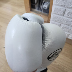 복싱글러브 헤비히터 h6 18oz화이트 팜