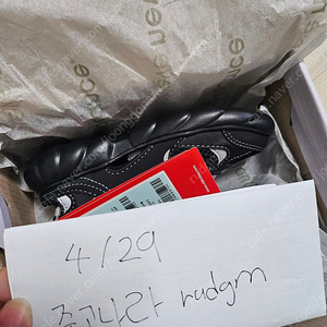 뉴발란스 프리들
