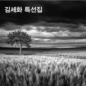김세화 특선집 CD 구입합니다.