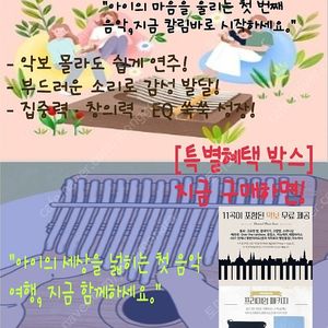 감성악기 칼림바