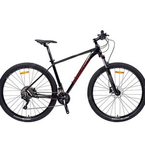 휠러 프로빅200 mtb자전거