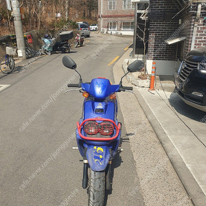 비위즈100