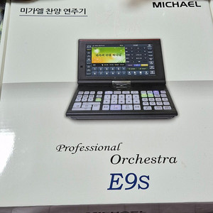 미가엘반주기E9s