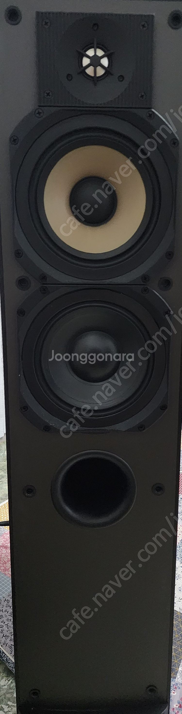 패러다임 스튜디오60 v2 블랙--0