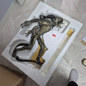 사이드쇼 레어 프레데일리언 매켓