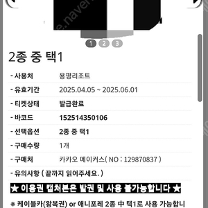 모나용평 곤돌라