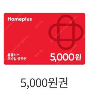 홈플러스 오프라인 5000원 금액권