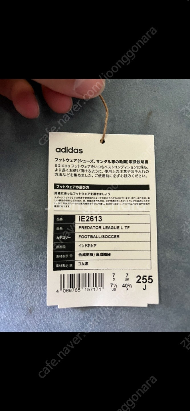 새상품 프레데터 리그 tf 250 풋살화 팝니다​--2