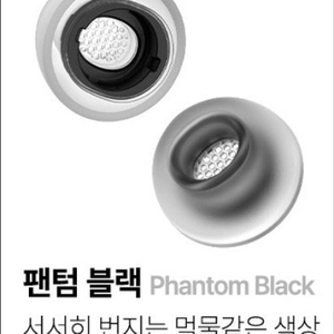 <삽니다>아즈라 맥스 버즈3프로용 MS사이즈 1쌍