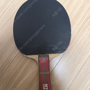 버터플라이 아폴로니아 ZLC 탁구라켓 (가격내림)