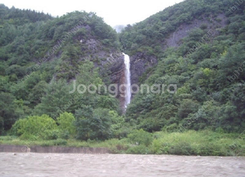 스타벅스 아메리카노4잔,카페라떼 팝니다--0