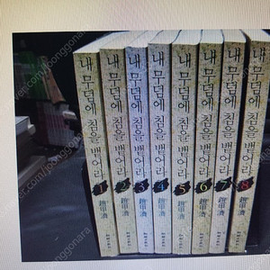 조갑제/내무덤에 침을 뱉어라/전8권.120.000원.(세월의 소설)