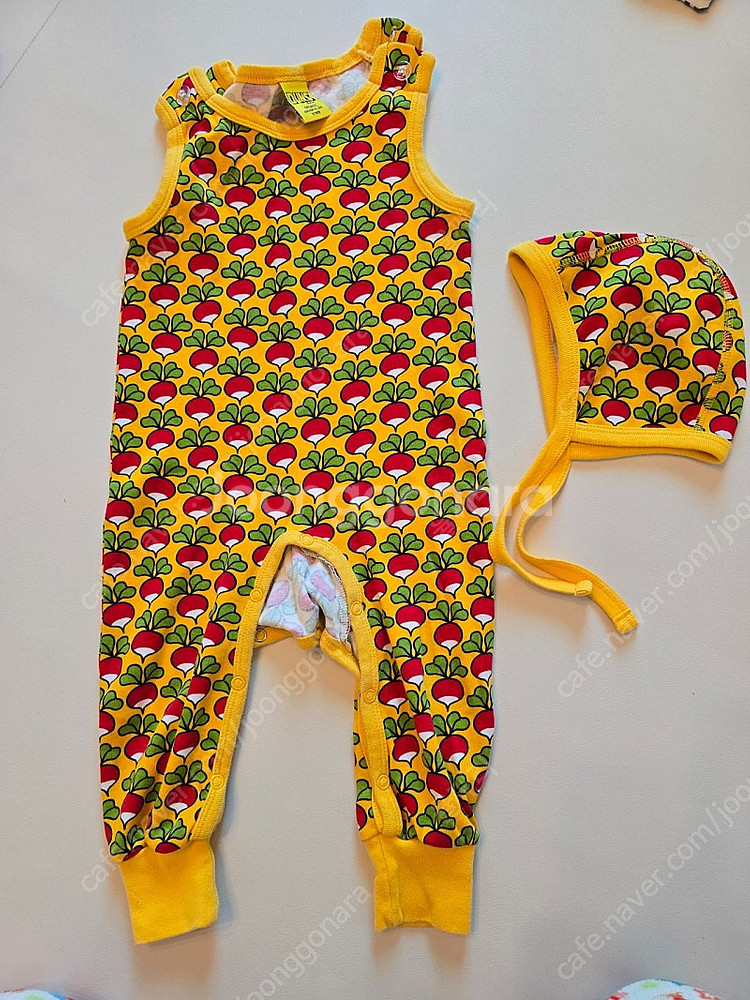 던스 순무 덩가리 74 보넷 47 일괄--0