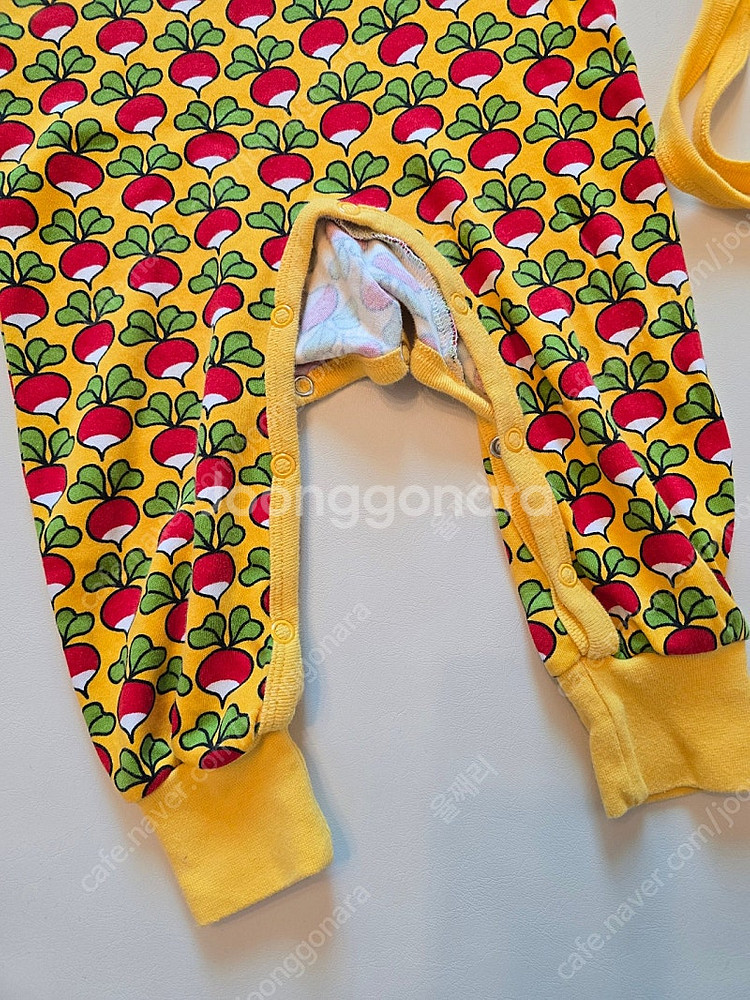 던스 순무 덩가리 74 보넷 47 일괄--3