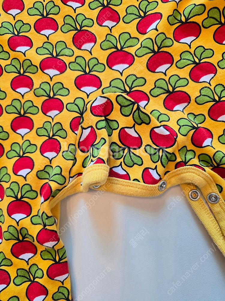 던스 순무 덩가리 74 보넷 47 일괄--5