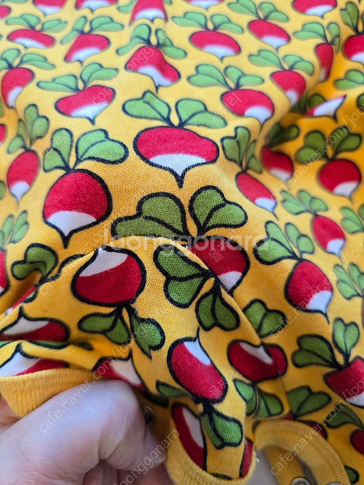 던스 순무 덩가리 74 보넷 47 일괄--6