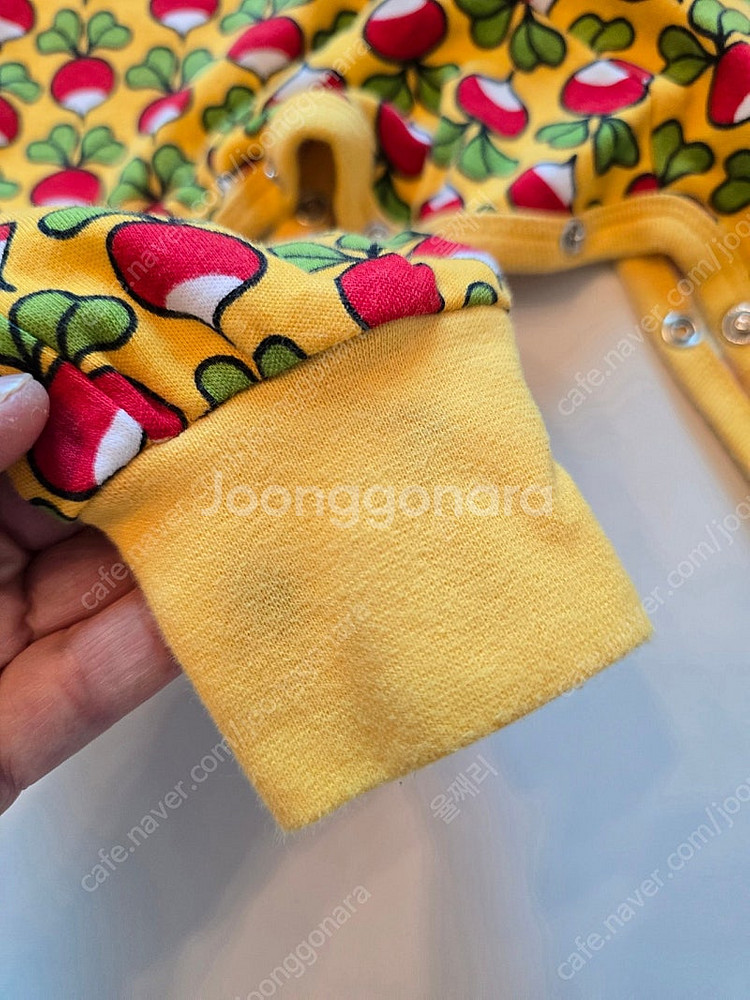 던스 순무 덩가리 74 보넷 47 일괄--7