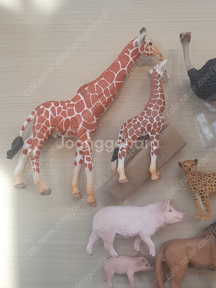 뮤고랑동물피규어--0