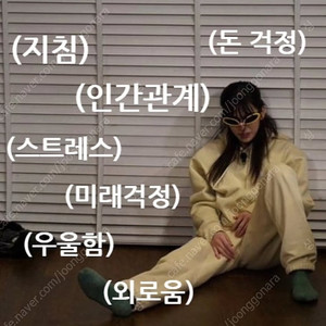 저소음 밀키축 38g 구매합니다 (1통/ 55개)