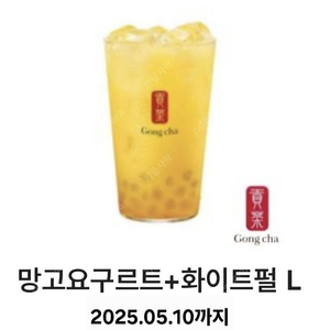 공차) 망고 요구르트 + 화이트펄 L