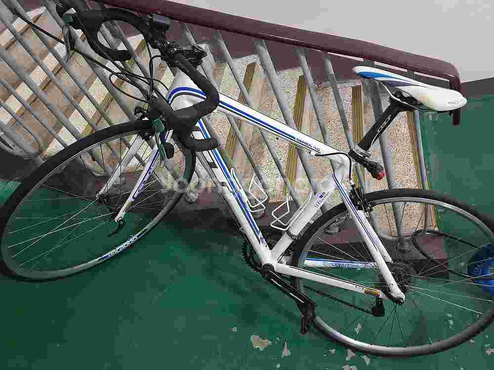 엘파마 로사 MTB 및 GT 카본포크 로드 자전거 판매--1