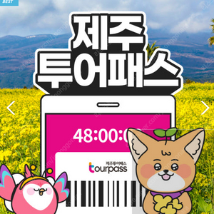 제주투어패스 48시간권 성인2인